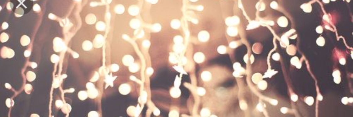 angelineWDW91's profile banner image