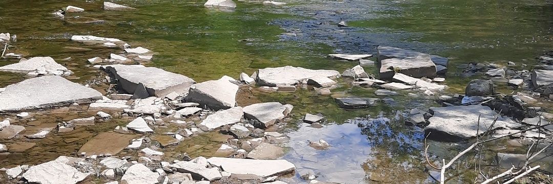 grieta allison banner