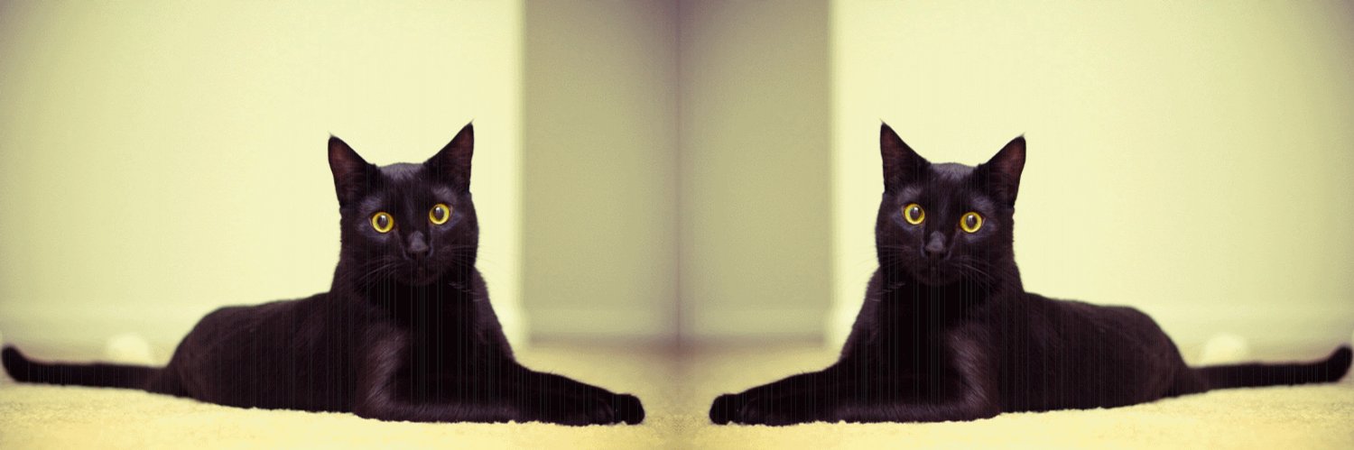 black_tabbycat's profile banner image