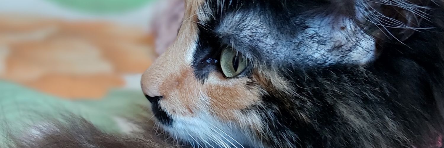 Meey_arias's profile banner image