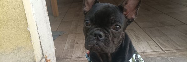 occhi22 Profile Banner