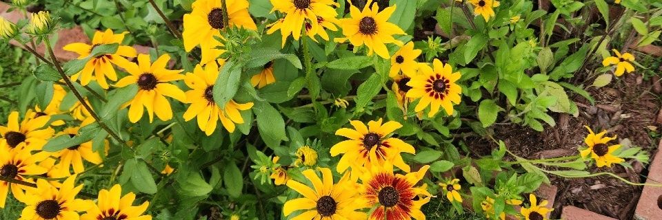 justaddgod's profile banner image