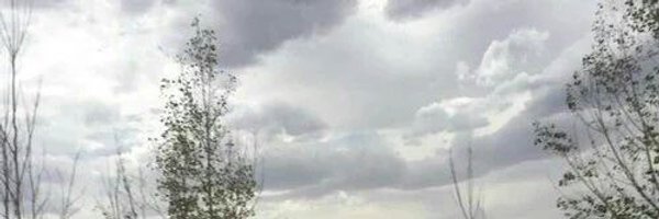 carolineMsparks's profile banner image