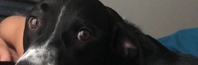 c95maloney's profile banner image