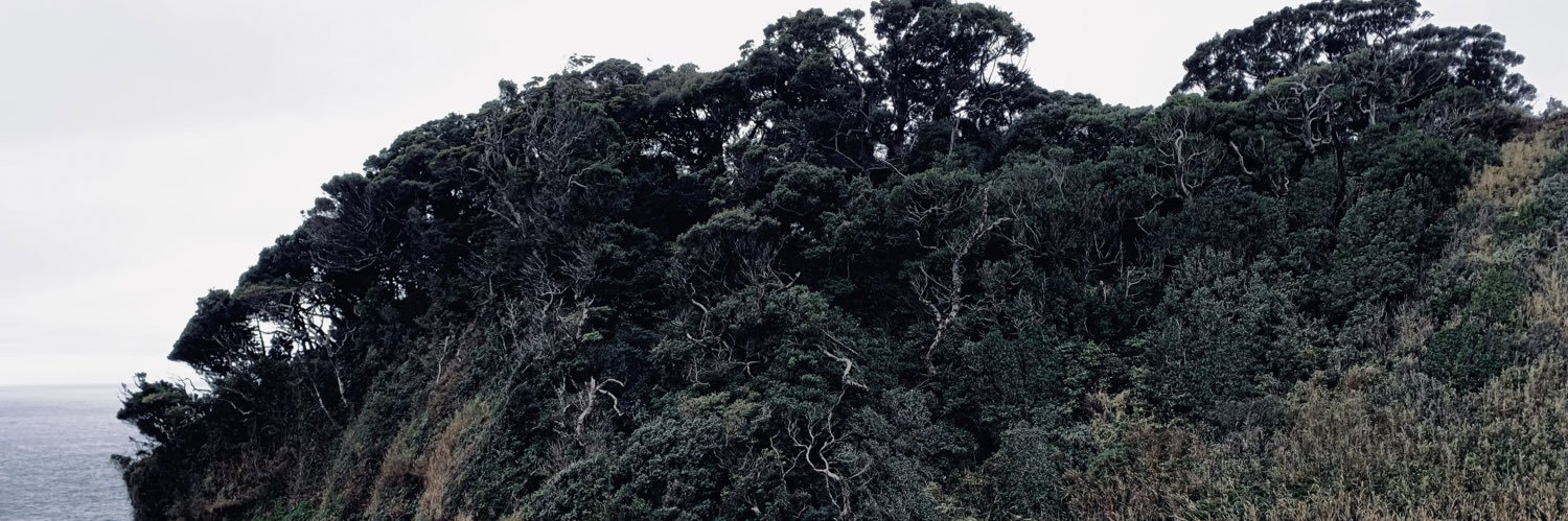 石川泰地 / Ishikawa Taichi banner