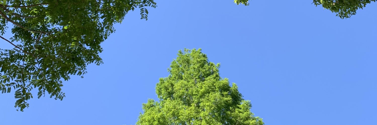 aattsunn's profile banner image