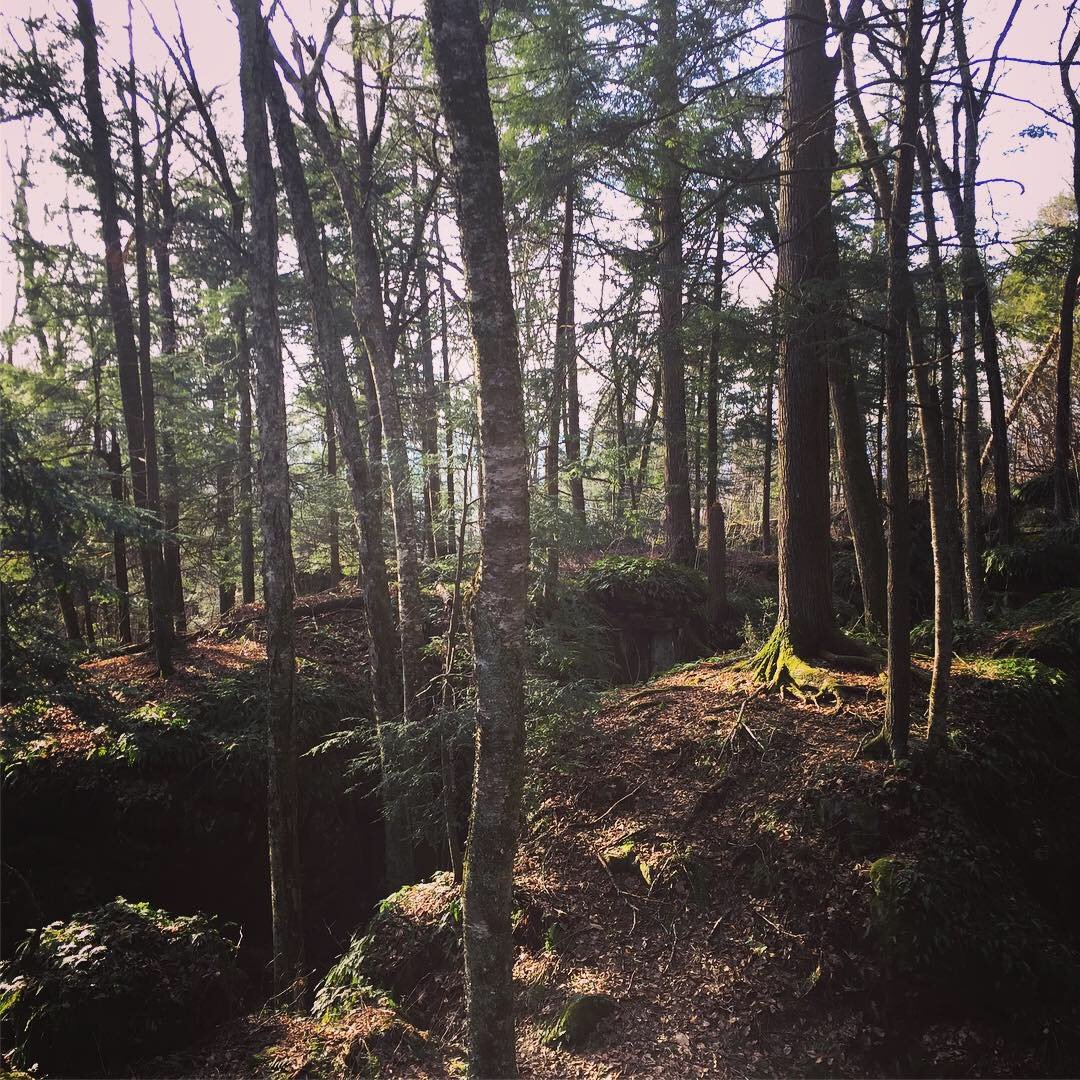 Daniel James Devine (@DanJamDevine) / Posts / X