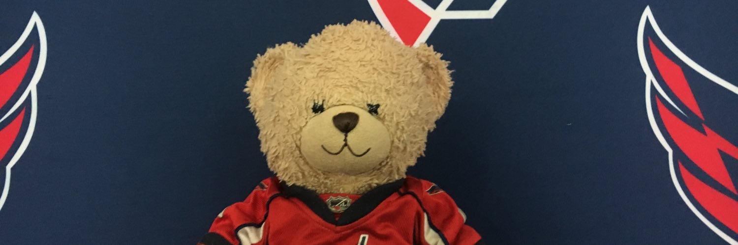 TheCapsBear's profile banner image