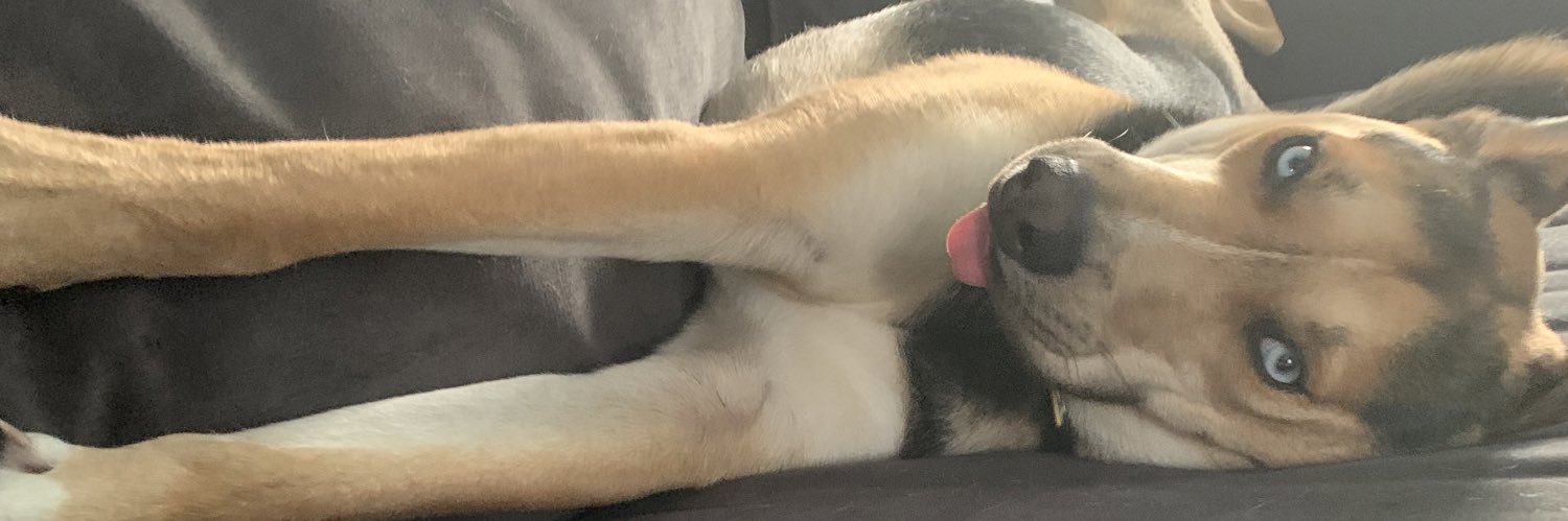bigdaddygurn's profile banner image