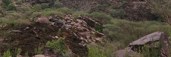 mo_ssd Profile Banner