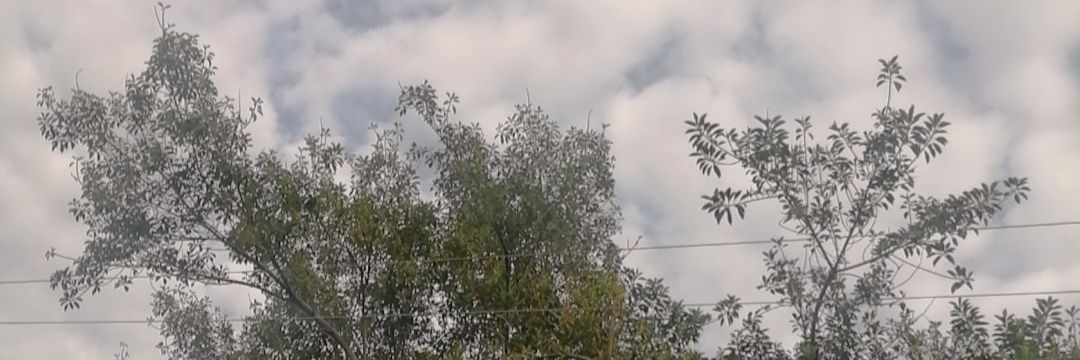 Ixelth_43's profile banner image