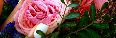 Umghader's profile banner image