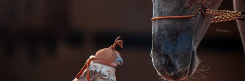 Ra_g01's profile banner image