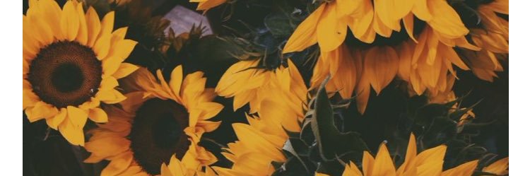 EricaaaWilson's profile banner image
