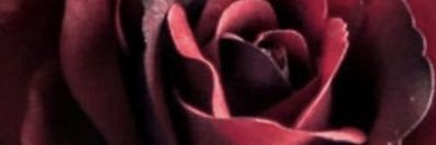 fefe6786's profile banner image