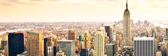 1DNYClocated banner