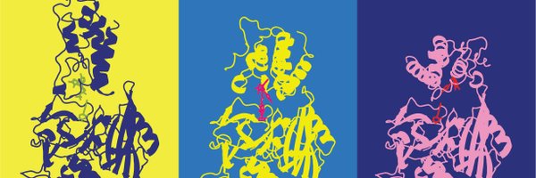 RPNowak Profile Banner