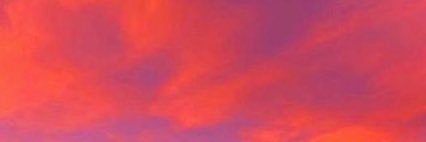 carmenche_f's profile banner image