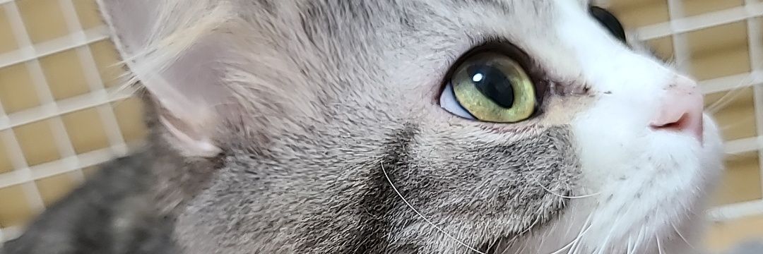 3710rick's profile banner image