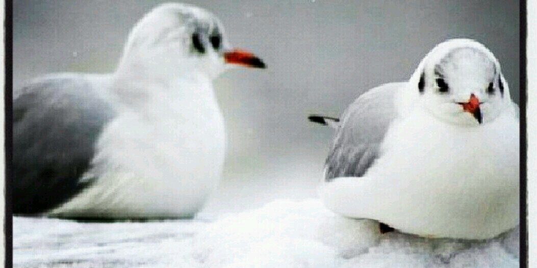 dodo1394's profile banner image