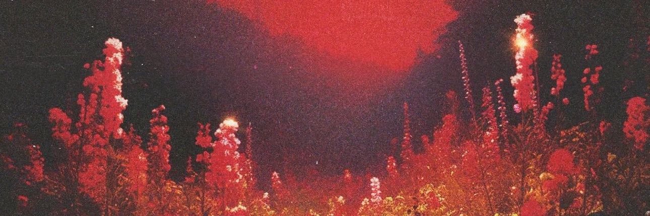 vannesssaah's profile banner image
