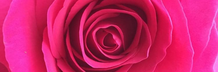yana2blessed's profile banner image