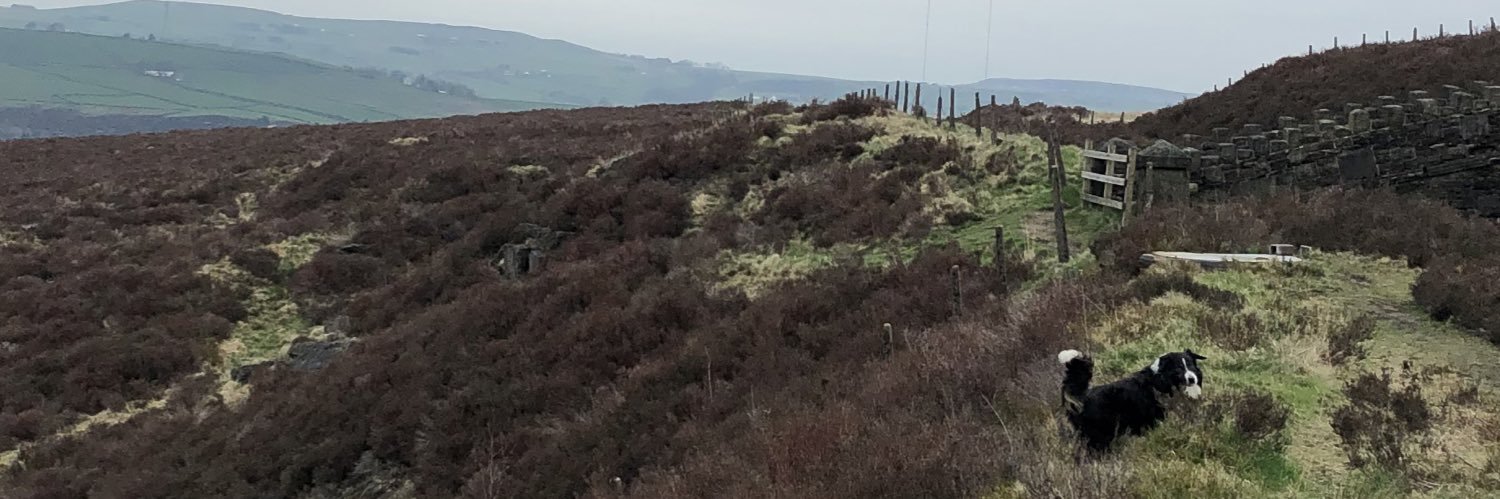 ursula glendinning banner