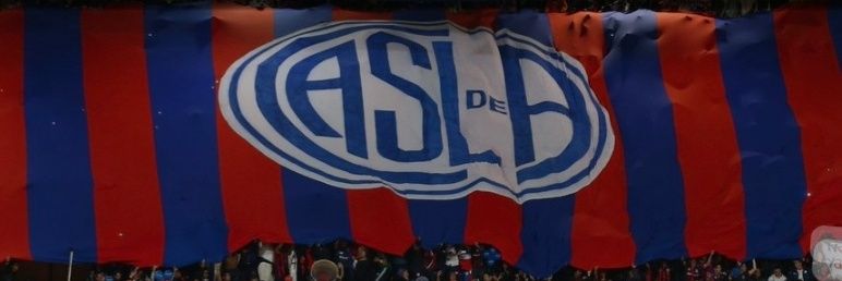 Lion banner