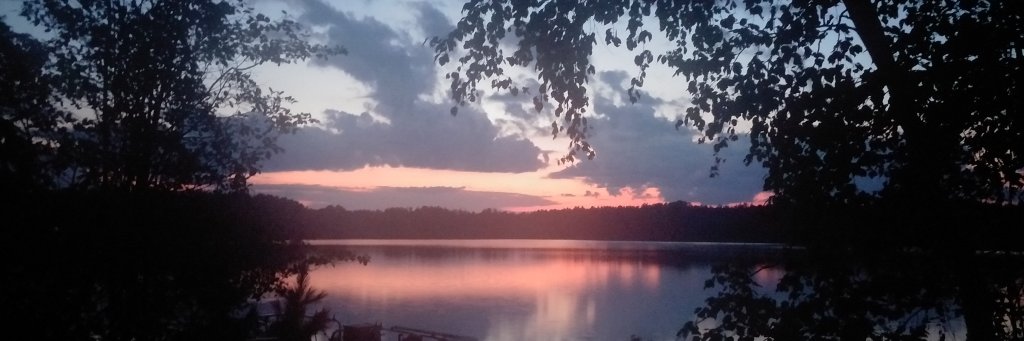 Shelley A.W.  Roy banner