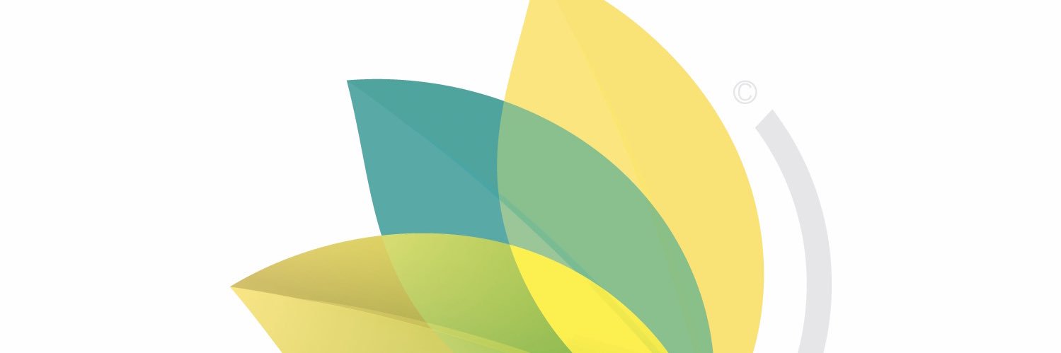 sandra scheinbaum banner