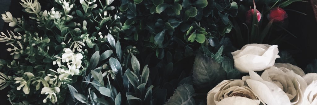 lebronl627's profile banner image