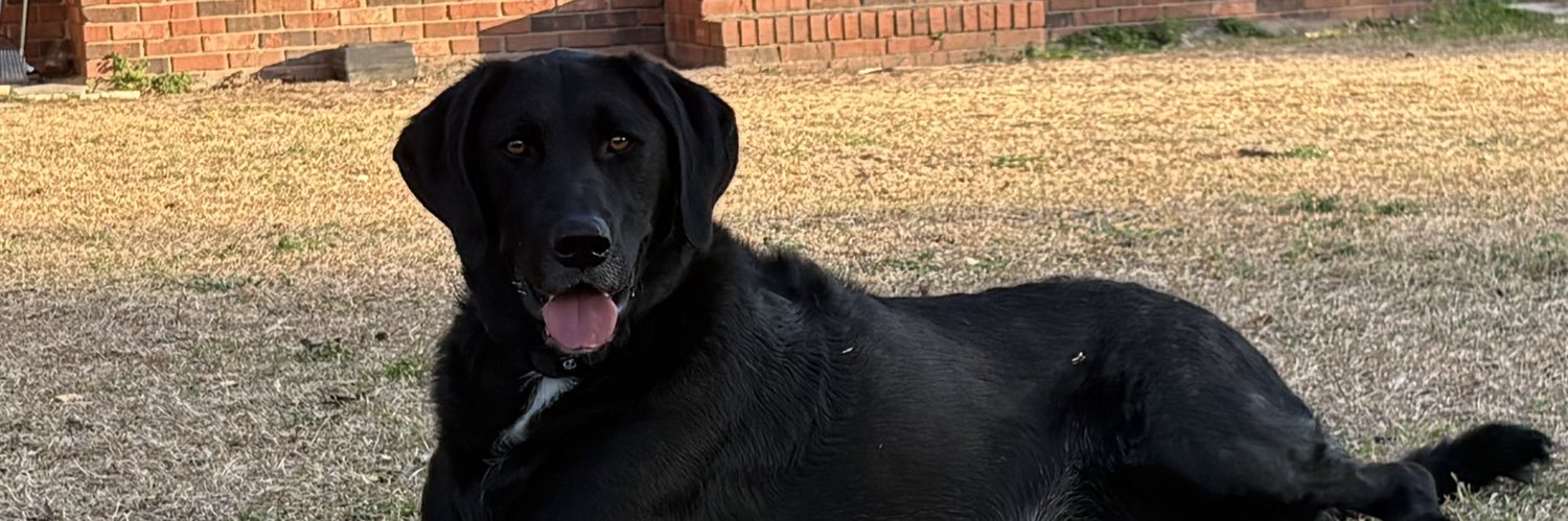 Rob 🎼💭👻 banner