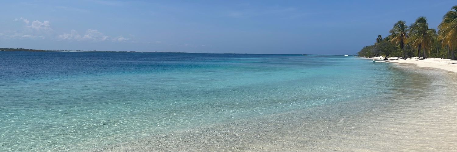 Taticarolh's profile banner image