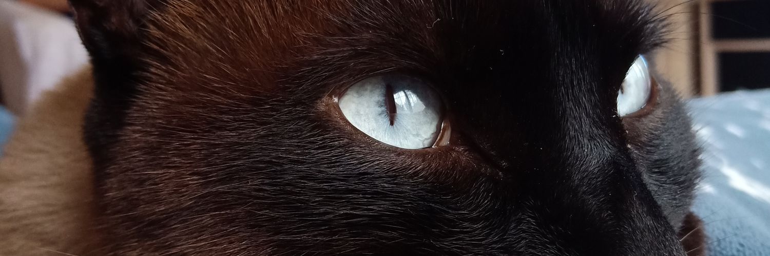 AndyNuzzi's profile banner image
