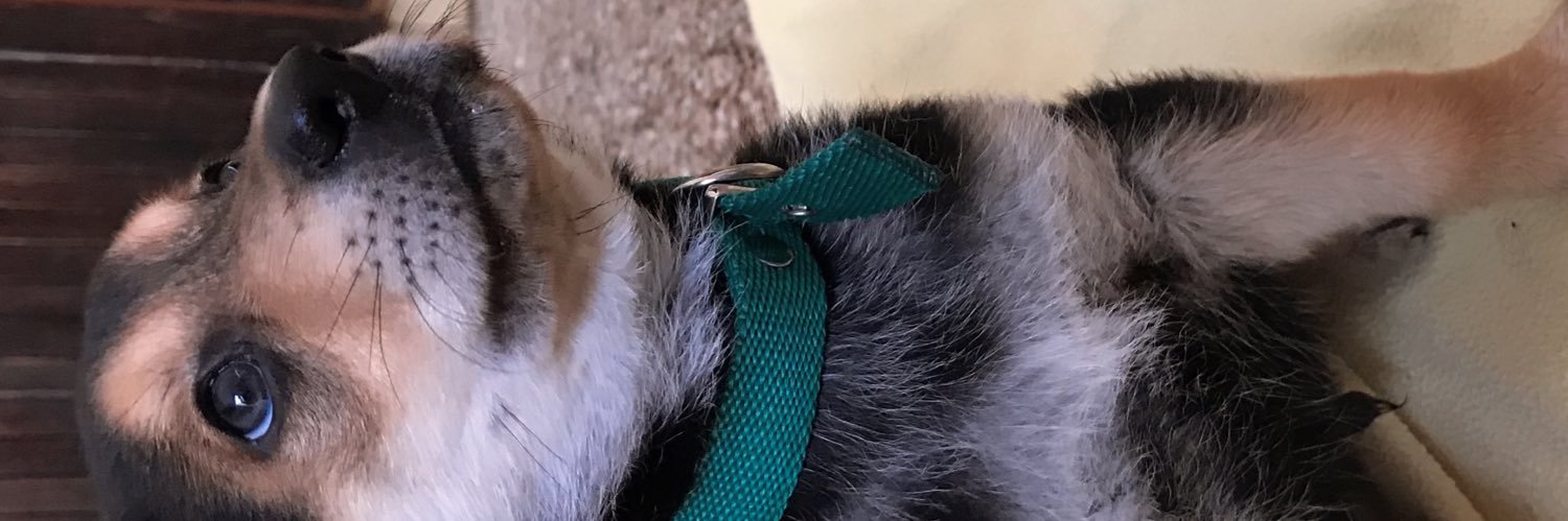 Regiigmz's profile banner image