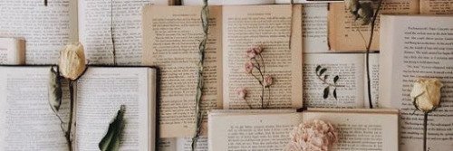 _paulib_'s profile banner image