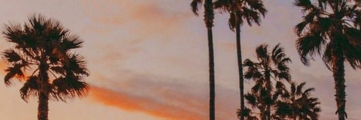 catalu0's profile banner image