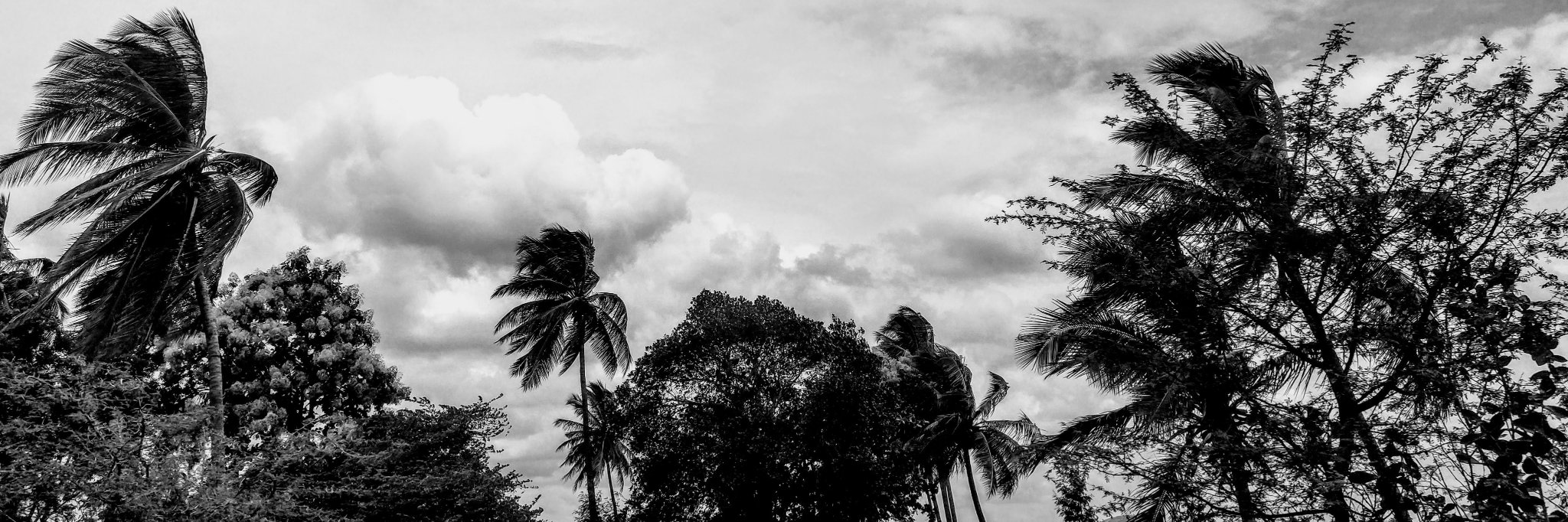 rishmunk's profile banner image