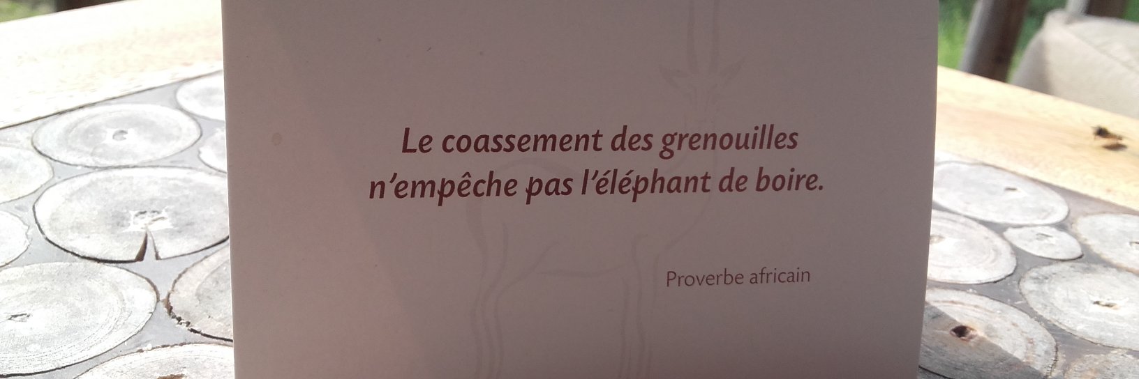 lilididie.nosavis/tests.noscreations.nospassions banner