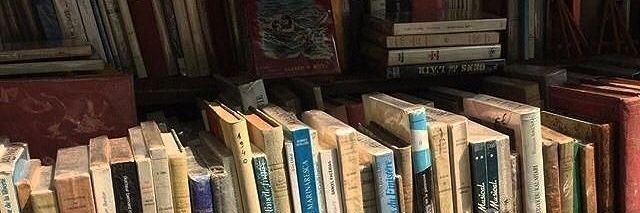 естрагон banner