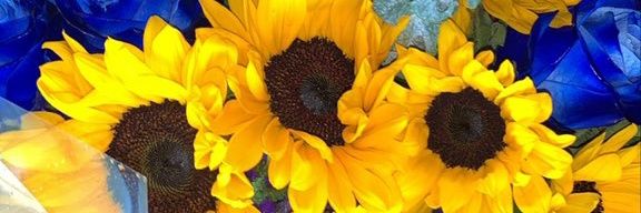 vivacious_1992's profile banner image