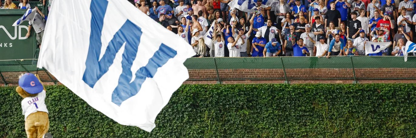 Cyndi in SoCal banner