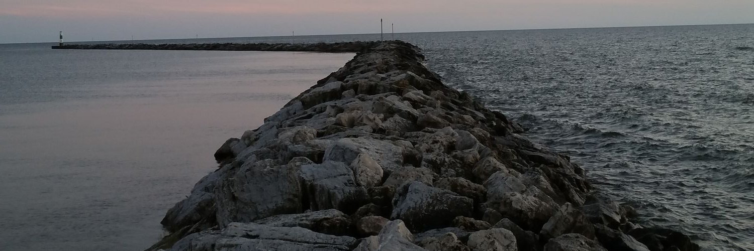 skondog's profile banner image