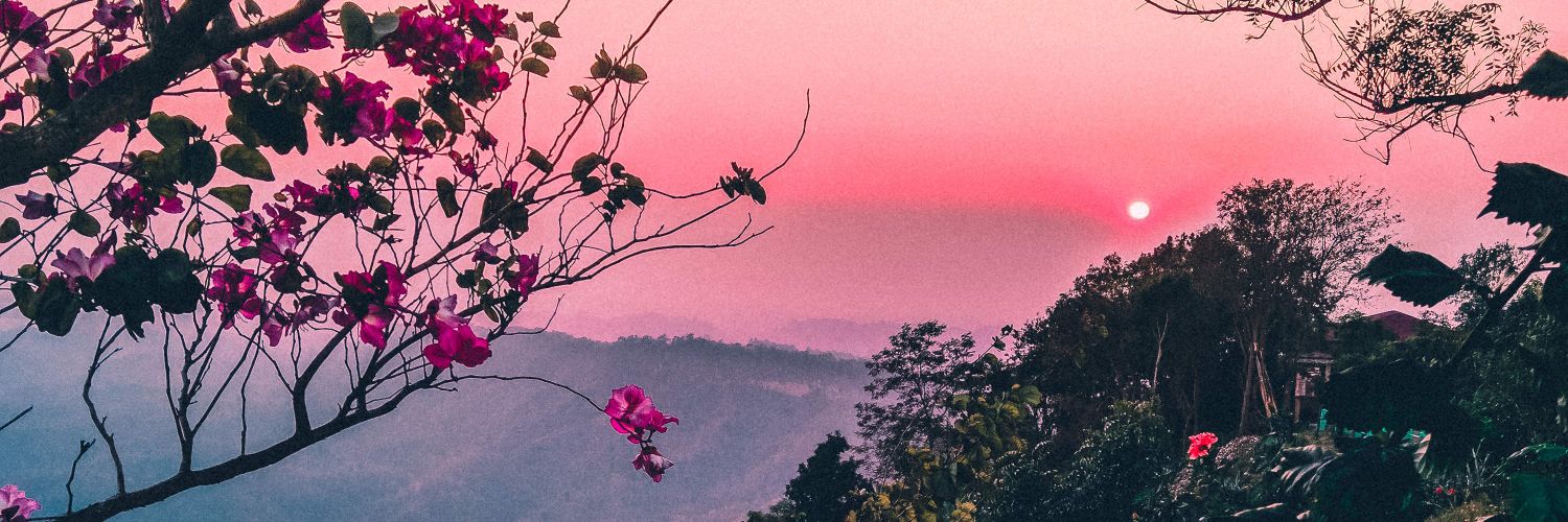 iitsmydestiny's profile banner image