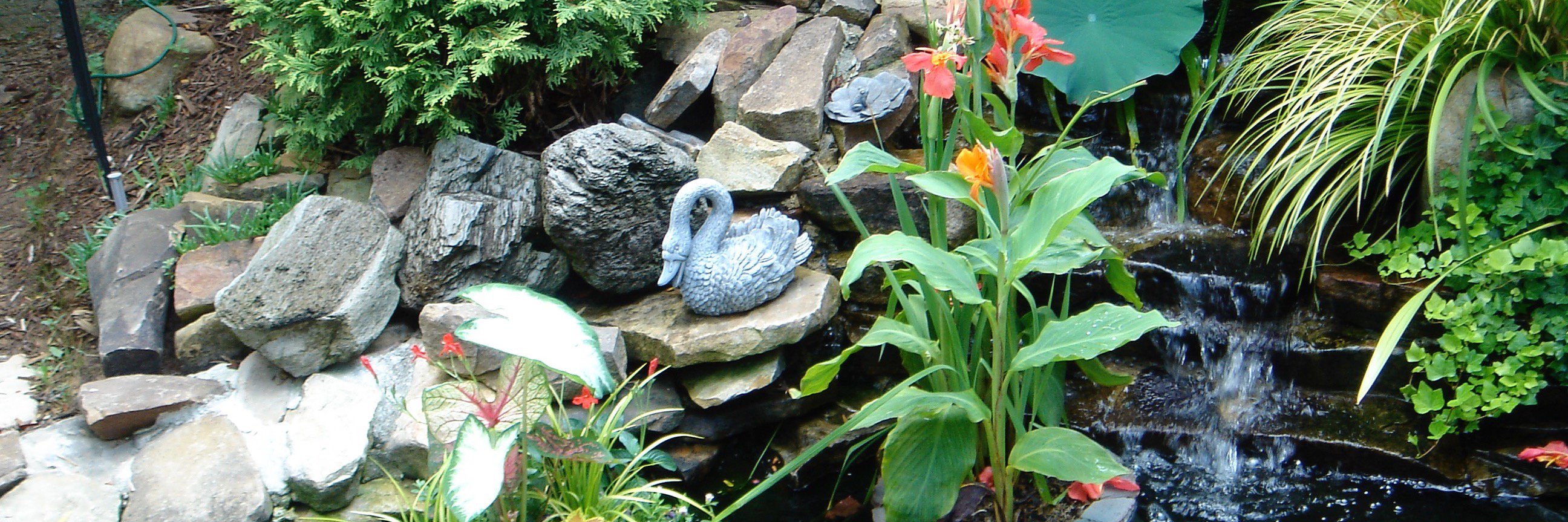 Jennifer Christie banner