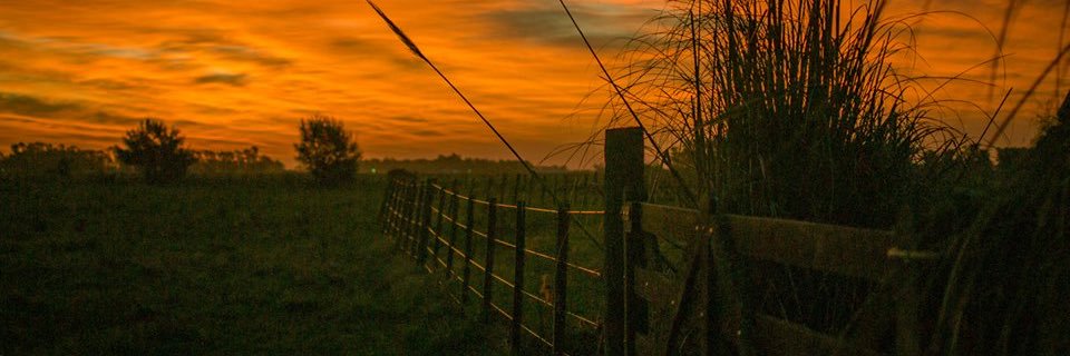 Ceci Vignau 👩🏻‍💻👩🏻‍🌾🎙️ banner