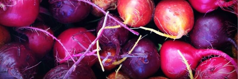 Willamette Farm&Food banner