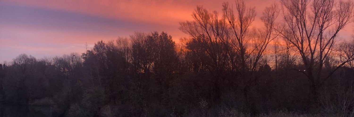 mavrolijk's profile banner image