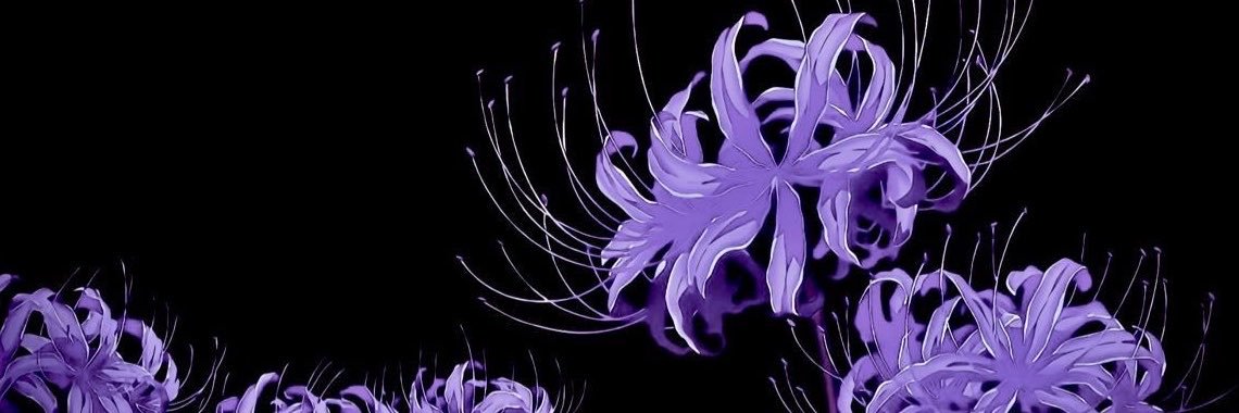 giomoonbae's profile banner image