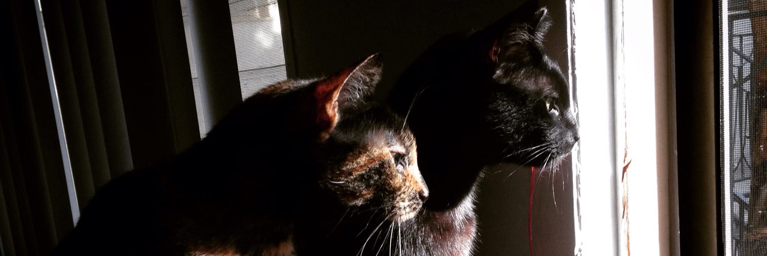 noopssssss's profile banner image